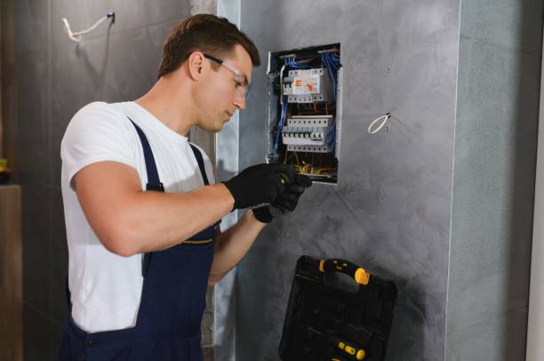 Best Local Electrician Companies  in Woodville, OH