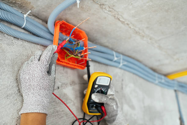 Best Local Electrician Companies  in Woodville, OH